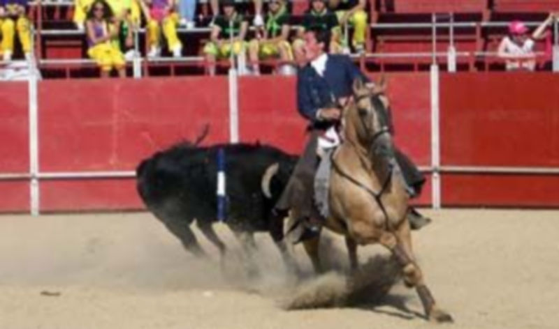 Pérez Langa repitió actuación en Navas de San Antonio. / P.P.