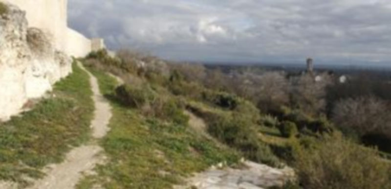 Parque de la Huerta del Duque del municipio. / Gabriel Gómez