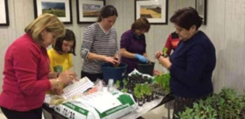 Voluntarias de Manos Unidas preparando las plantas. / C.N.