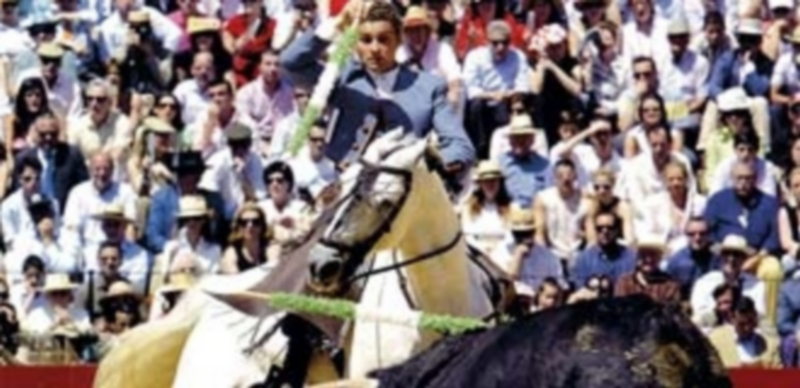 Última actuación torera en Ayllón a cargo de Martín Escudero. / Martín Burgos