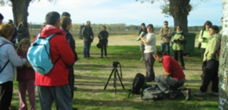 Actividad de turismo ornitológico en las Lagunas de Cantalejo propuesta por Honorse-Tierra de Pinares. / El Adelantado
