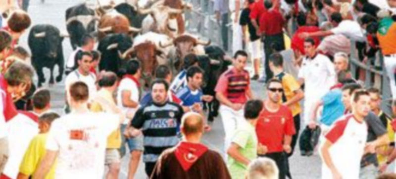 El colectivo solicita a los directores de campo que encabestren lo mejor posible al ganado