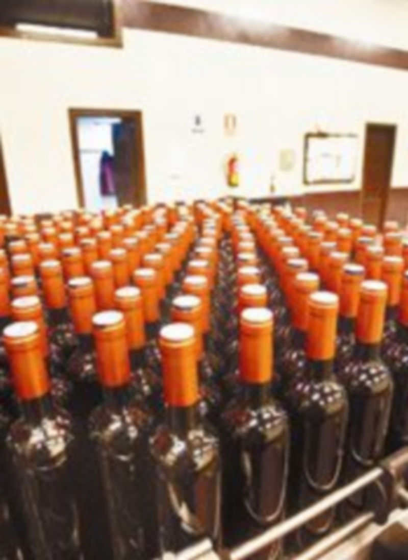 El vino es uno de los productos que más ha crecido en el comercio exterior