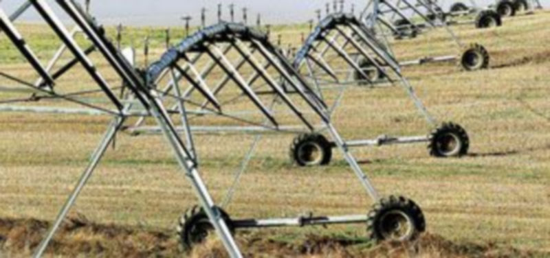 El esfuerzo del sector para modernizar las explotaciones no se ha visto compensado. / Luis López Araico