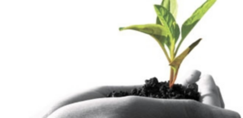 PAC, paz y estabilidad 1 18348 1