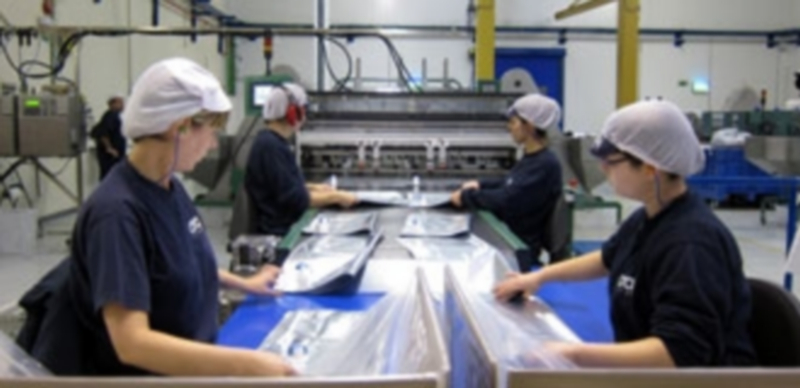 Un grupo de operarias trabaja en una cadena