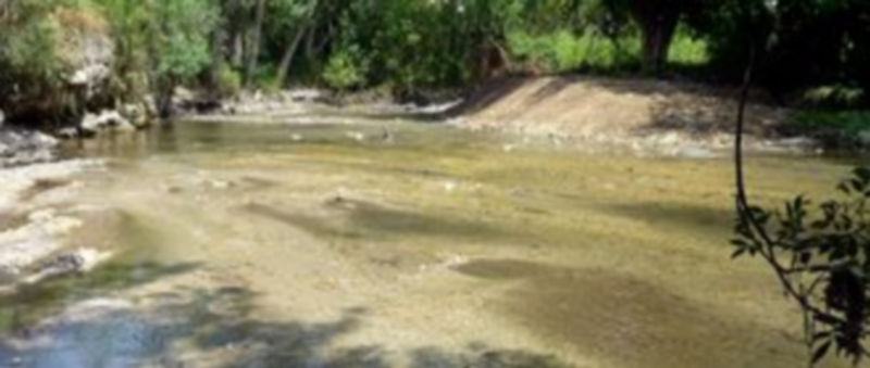 La retirada del azud ha mejorado la calidad del agua en la zona.
