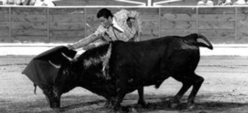 El Fundi torea el próximo día 2 en Prádena. /El Adelantado