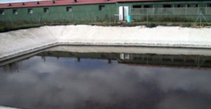 Segovia produce unos cuatro millones de metros cúbicos de purines al año. /Juan Martín