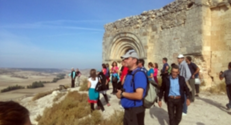 Participantes en la ‘Ruta del vino’ de la asociación Honorse-Tierra de Pinares hace unos meses./ El Adelantado