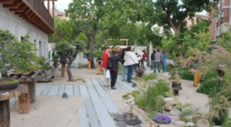 IU asegura que también se han utilizado herbicidas que han causado daños en los jardines de Las Tenerías./Chantal Núñez