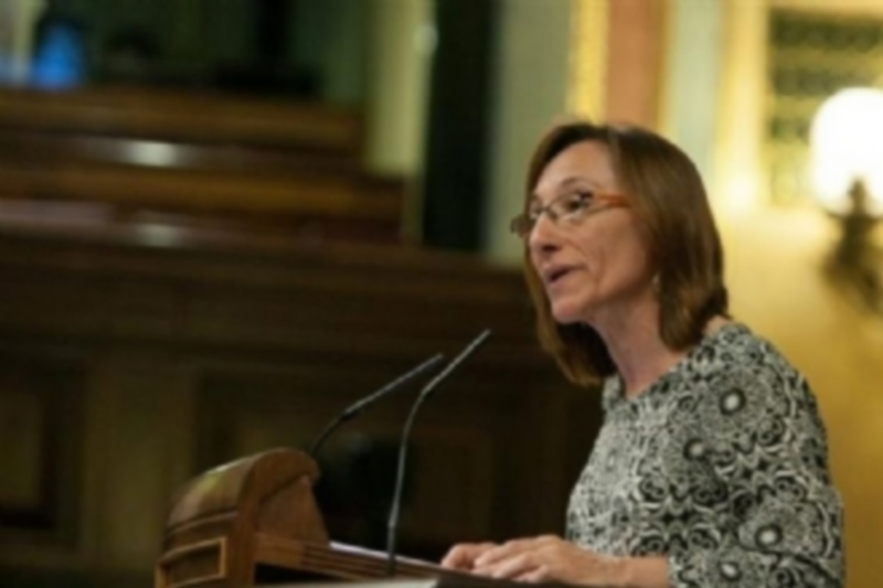 La diputada del BNG en el Congreso Rosana Pérez en una intervención./E. P.