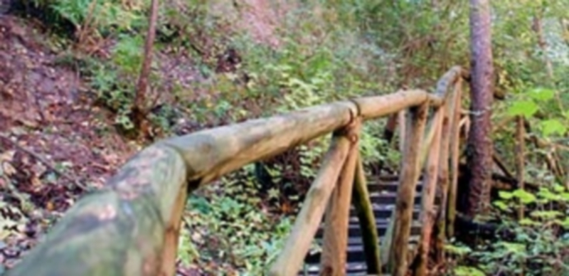 Los trabajos del Ayuntamiento se realizan en primavera