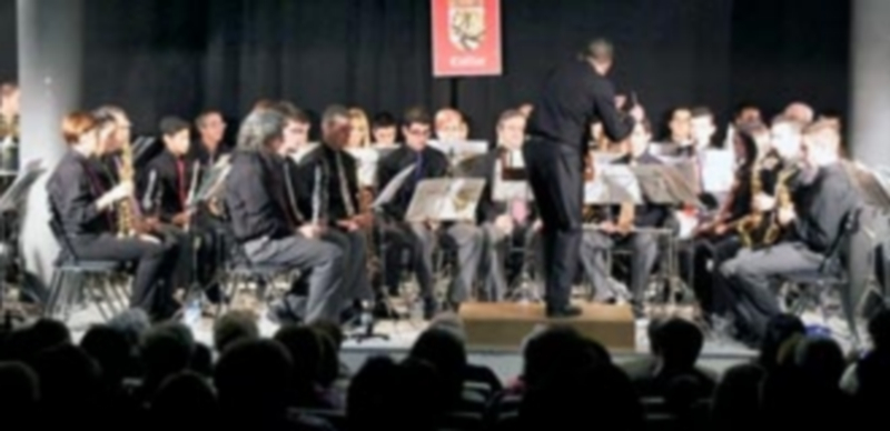 Los conciertos serán parte fundamental de la programación planteada para estos dos meses. / C.N.