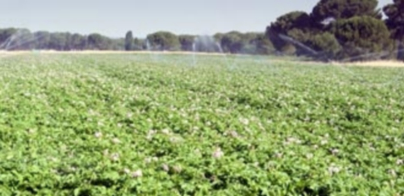 Los regantes del Carracillo reclaman adecuar el caudal ecológico del Cega 1 La Comunidad de Regantes del Carracillo muestra su preocupación y argumenta la defensa de esa adecuación. / E.A.