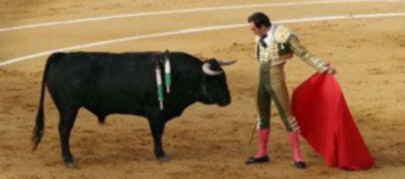 Las corridas de toros y encierros de Cuéllar de 2010 fueron organizados por Suerte Natural./Gabriel Gómez