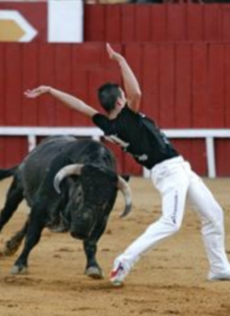 IU apoya que los novillos del encierro del domingo se utilicen para los cortes ese día por la tarde. / Gabriel Gómez.