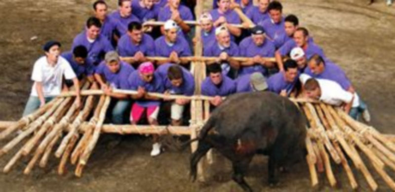 Forcons portugueses durante uno de sus festejos taurinos. / El Adelantado