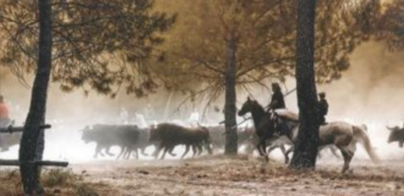 ´Fotografía ganadora del primer premio