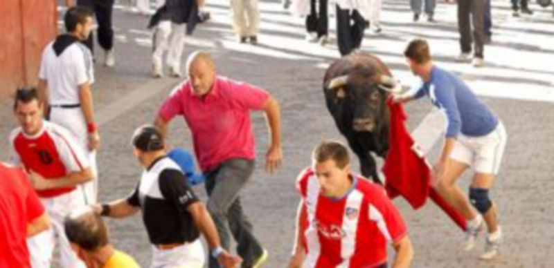 La peña solicita también información sobre algunos aspectos recogidos en la ordenanza. / Gabriel Gómez