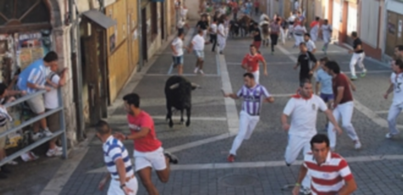 Imagen de archivo de uno de los encierros de las pasadas fiestas patronales. / Chantal Núñez