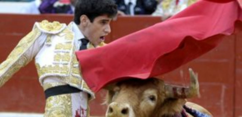 López Simón alcanzó el éxito en el quinto y último festejo de la feria de Cuéllar de 2011./ Alberto Benavente.