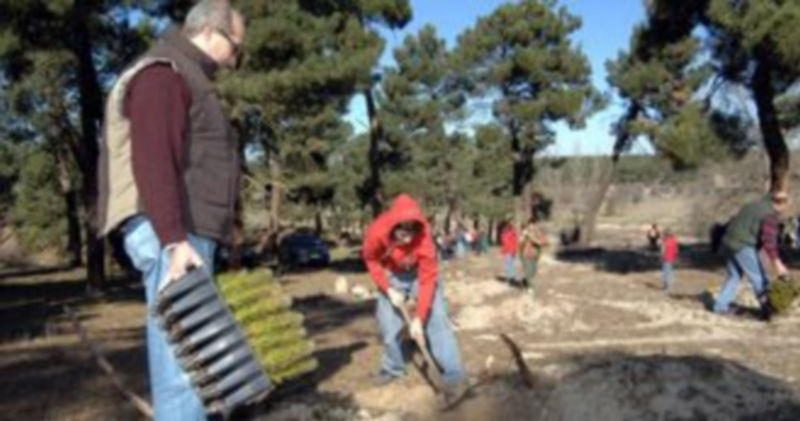 Imagen de una plantación de especies donadas por la Junta en la localidad de Añe. / Juan Martín
