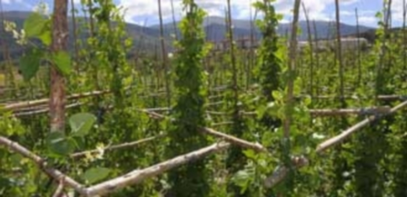 Imagen de archivo de un espacio de la plaza de la localidad. / Kamarero