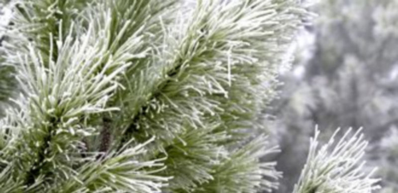 Desde hoy la predicción apunta a un incremento de temperaturas./ Gabriel Gómez.