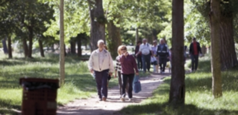 Varias personas caminan por el parque de Fuentes Blancas (Burgos). / j.j.m.
