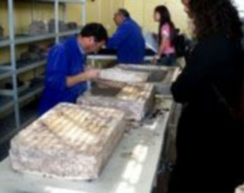 Talleres de la organización a favor de personas discapacitadas./B. De Paz