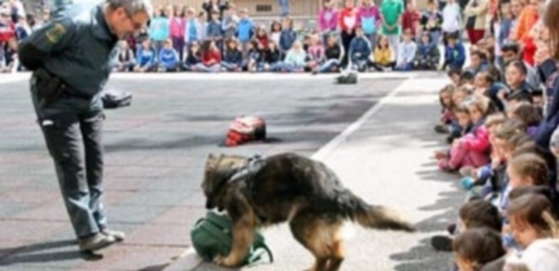 Conociendo a la Guardia Civil 1 La exhibición del Servicio Cinológico entusiasmó a los pequeños e hizo participar a los profesores. / C.N.