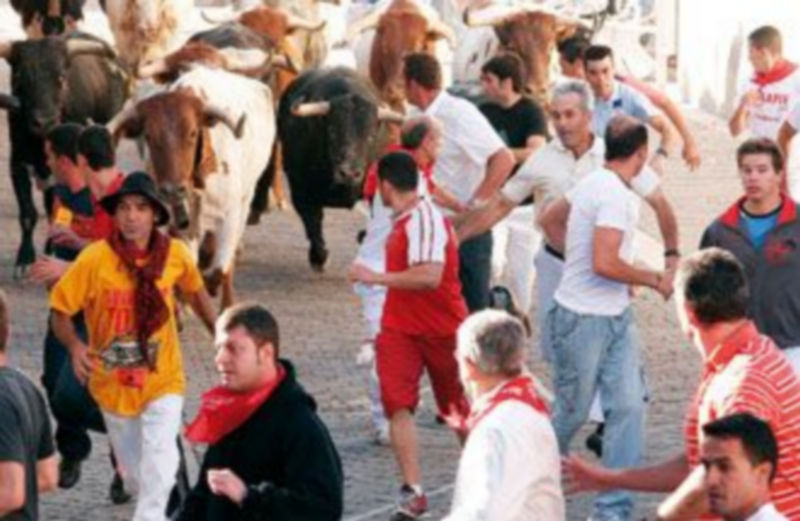 La Asociación nace con el próposito de dar un impulso a los encierros de la villa. / Gabriel Gómez