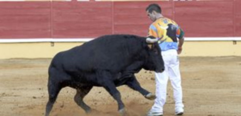 El concurso de cortes sustituirá a la corrida del domingo. /Gabriel Gómez