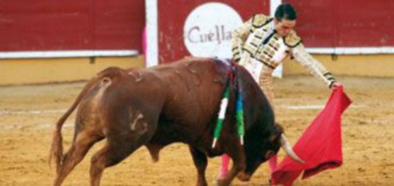 El cuellarano Javier Herrero en la corrida que cerró la feria el viernes 3 de septiembre. / Gabriel Gómez