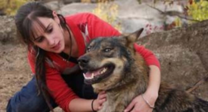 Imagen de archivo de una alumna de IE Universidad junto a un lobo ibérico. / El Adelantado