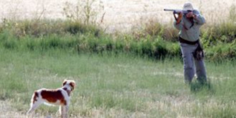 Un cazador se dispone a disparar su escopeta