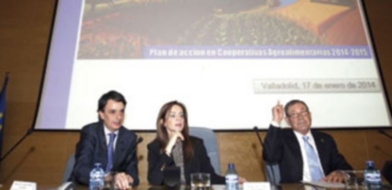 La Junta impulsará la compra conjunta de cooperativas para abaratar el precio del pienso 1 La consejera Silvia Clemente