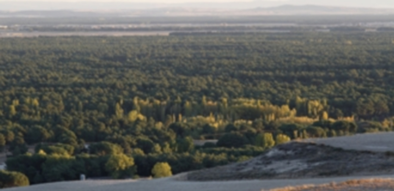 La ruta permitirá recorrer casi una veintena de poblaciones de la comarca Tierra de Pinares. / Gabriel Gómez