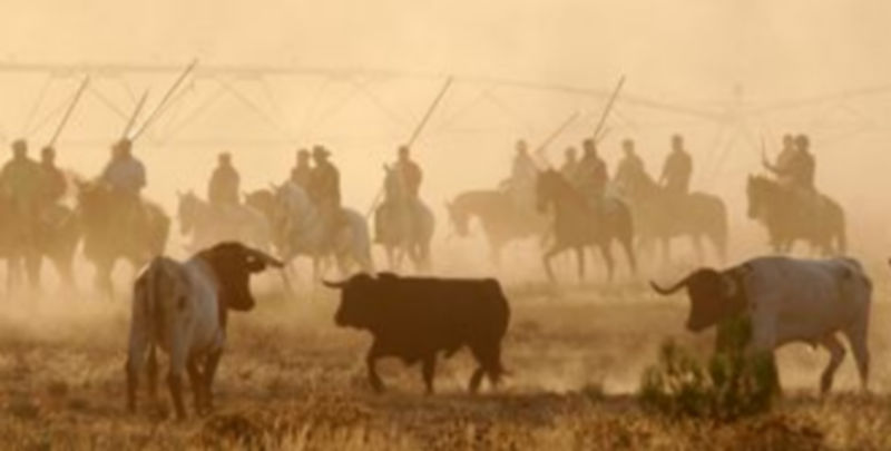 La empresa adjudicataria organizará las fiestas durante cuatro años