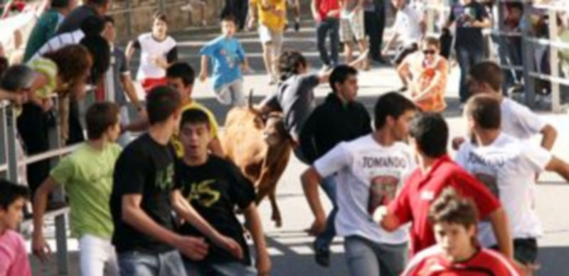 El encierrillo centra la atención de la programación festiva. /Gabriel Gómez