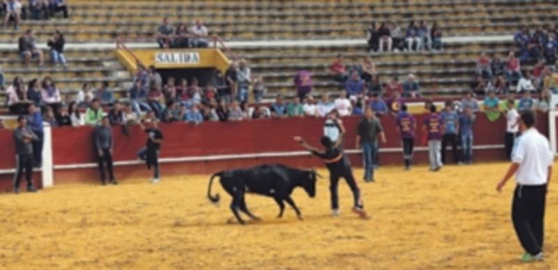 Imagen de archivo de un aficionado realizando un recorte a una vaca. / C. N.