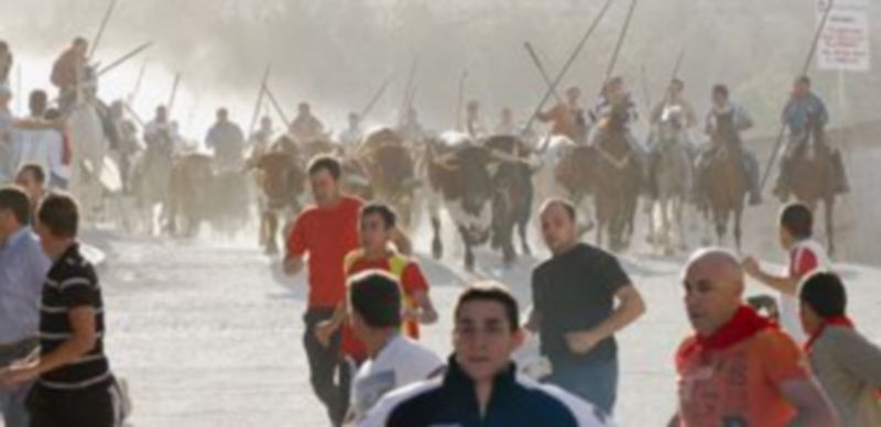 Entrada de uno de los encierros taurinos del año 2012 por la zona de El Embudo. / Gabriel Gómez