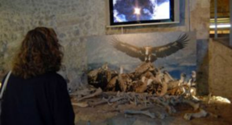 Una visitante en la Casa del Parque de las Hoces del río Duratón