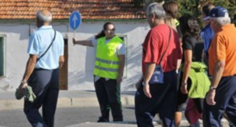 Un instante de la marcha que la asociación Apadefim organizó el año pasado en la capital segoviana. / El Adelantado