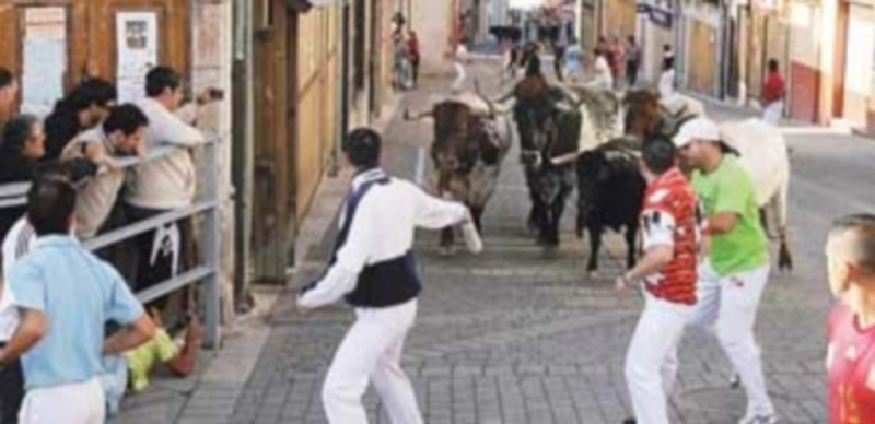 Los aspectos a regular incluyen todo el encierro