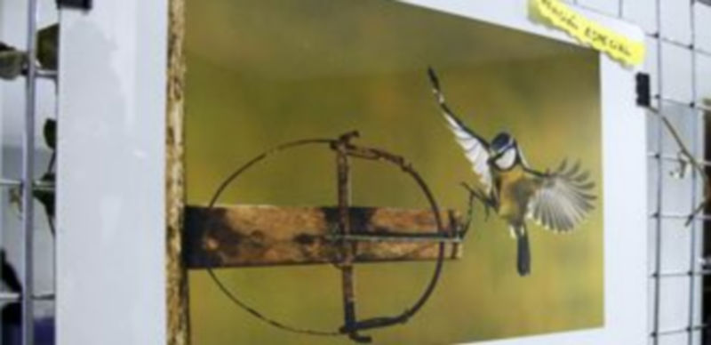 La sala Alfonsa de la Torre  acogerá la exposición del certamen. / Gabriel Gómez