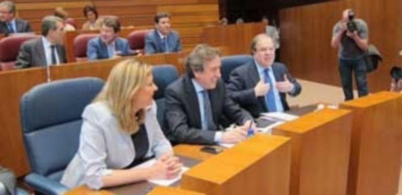 Los grupos parlamentarios de Podemos