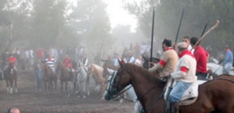 ´En Cuéllar existe una gran afición al mundo ecuestre