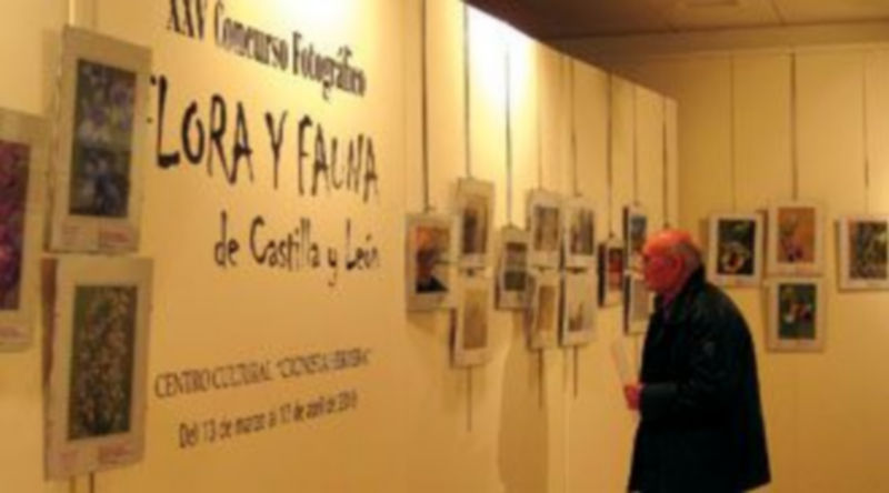 La exposición puede visitarse en la sala Cronista Herrera de lunes a sábado hasta el 17 de abril. / Nuria Pascual